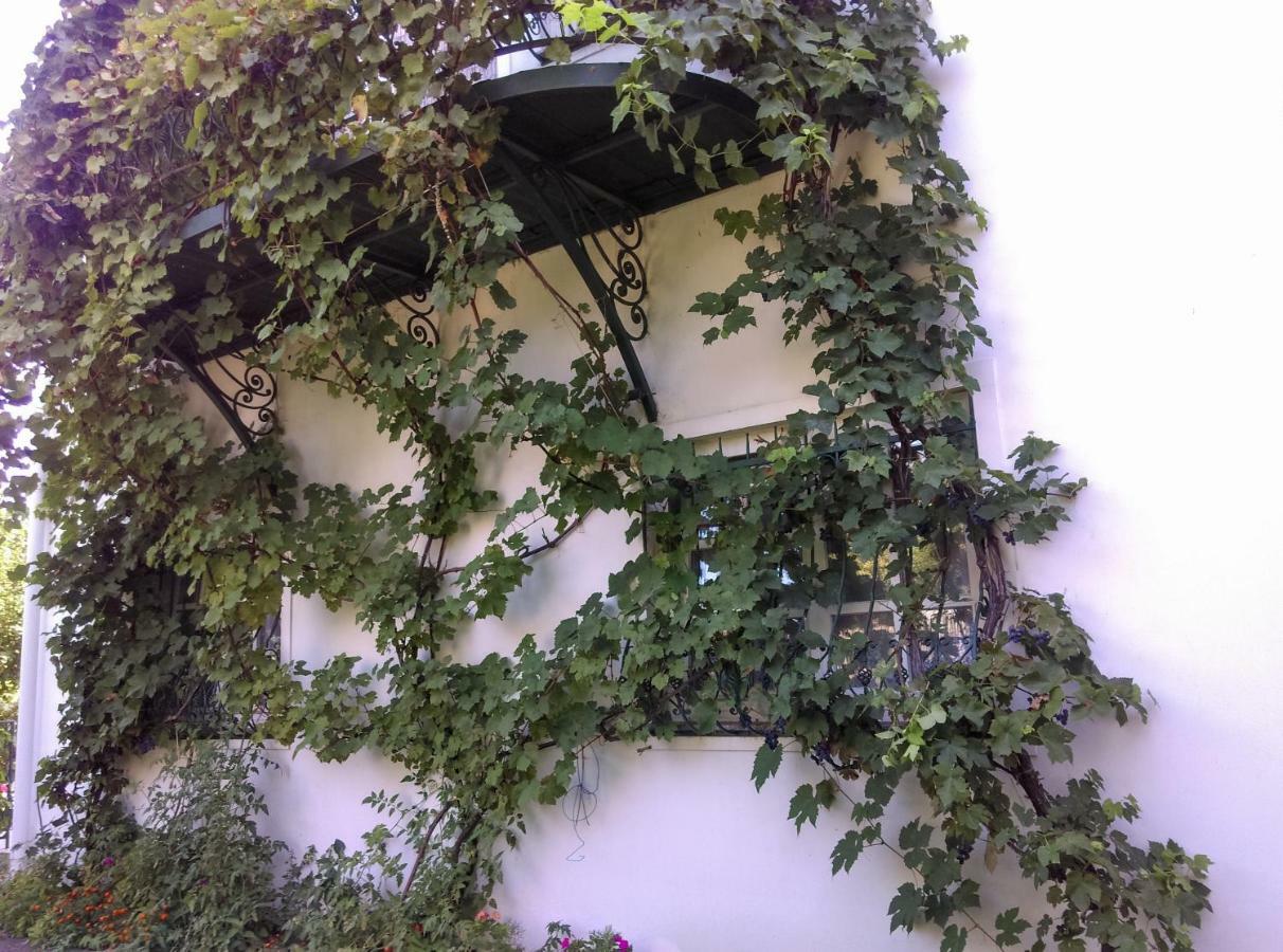 Fesztival Nyaralohaz Appartement Zamárdi Buitenkant foto