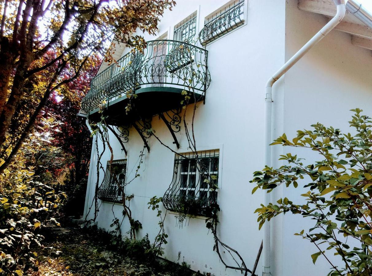 Fesztival Nyaralohaz Appartement Zamárdi Buitenkant foto